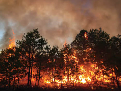 Pines Barren, New Jersey Fires